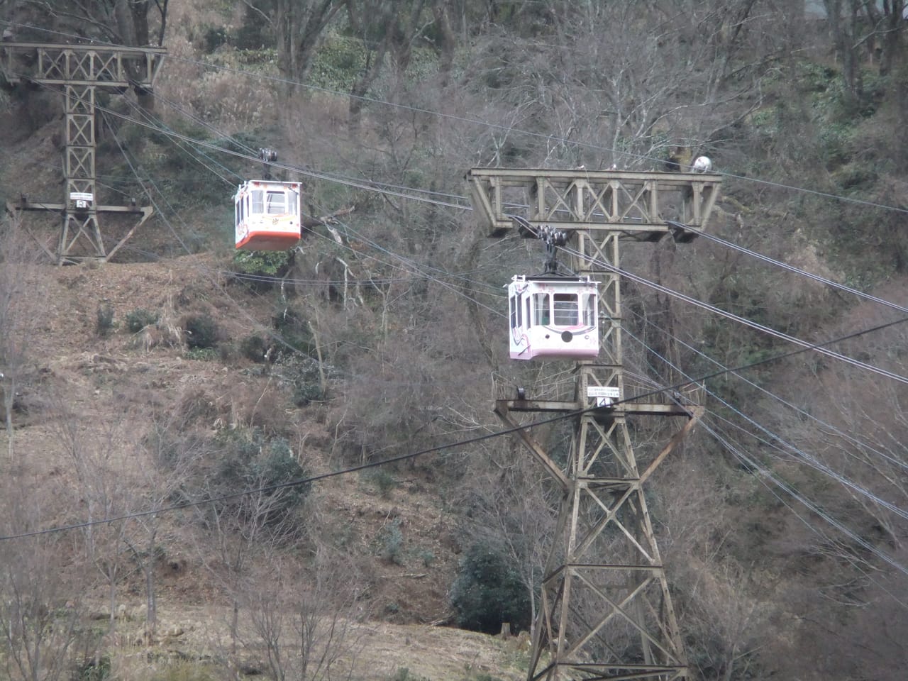 金峯山寺と吉水神社、桜と信仰の山・吉野を歩く旅