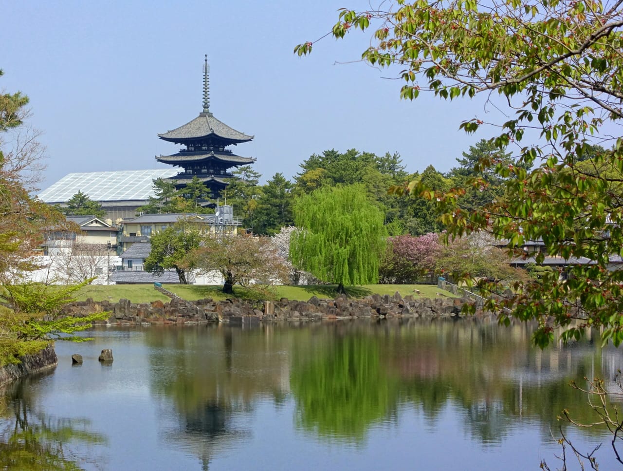 奈良公園