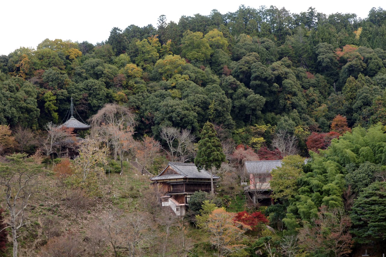 南朝ゆかりの古刹めぐり、吉野の歴史をたどる日帰り旅