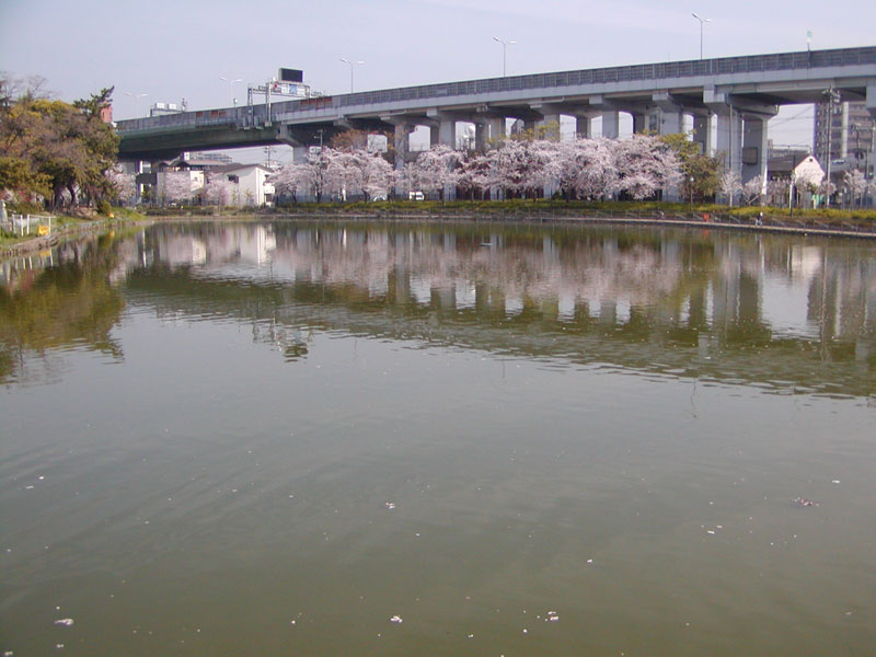 桃ヶ池公園
