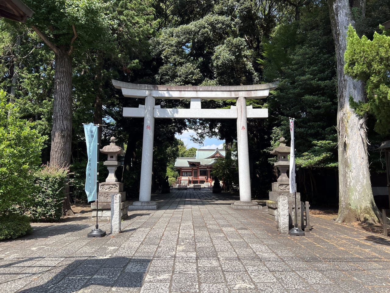 ハモニカ横丁と吉祥寺サンロード、食べ歩きで楽しむ商店街さんぽ