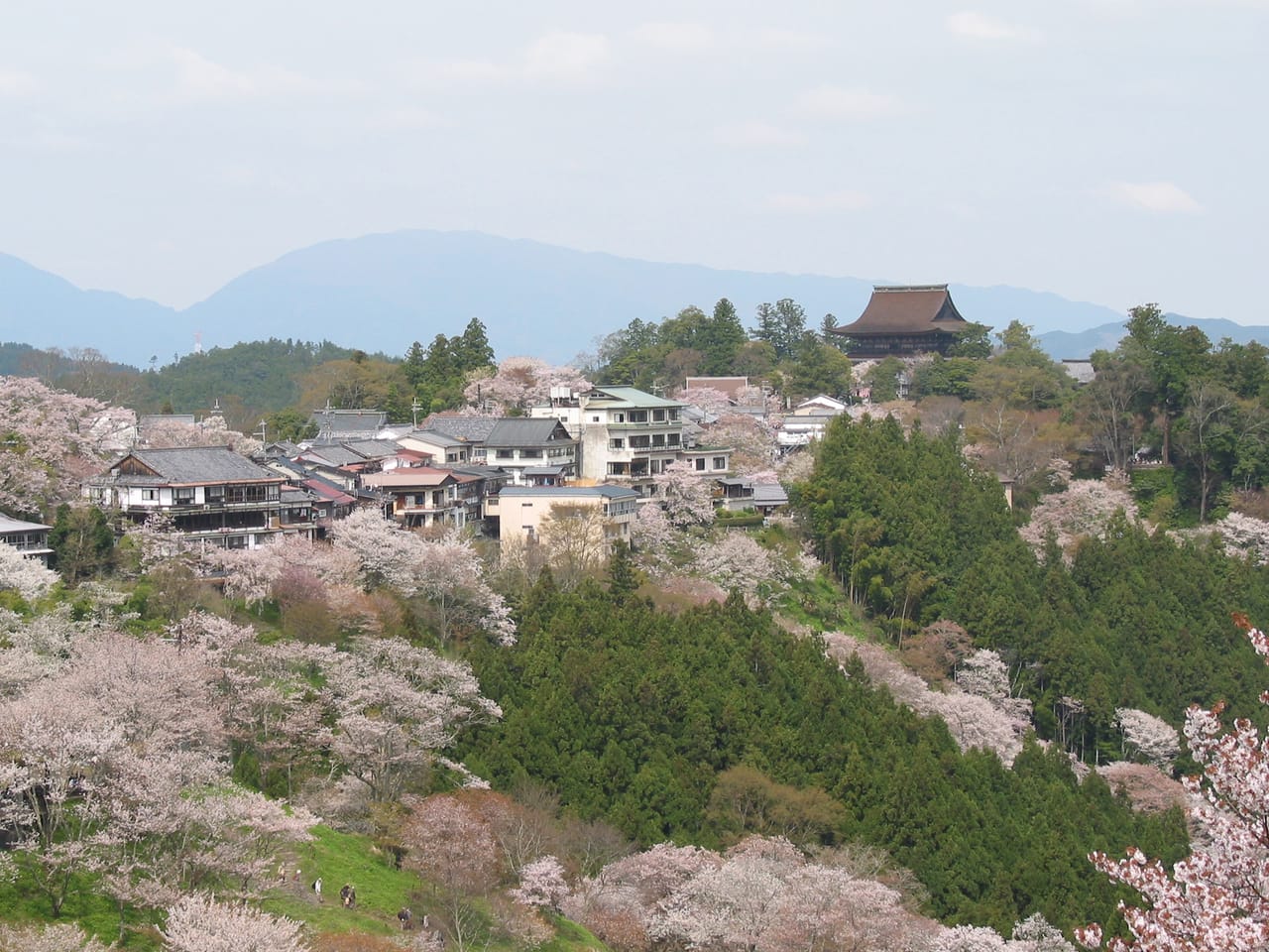 一目千本、桜の名所・吉野山を巡る日帰りプラン