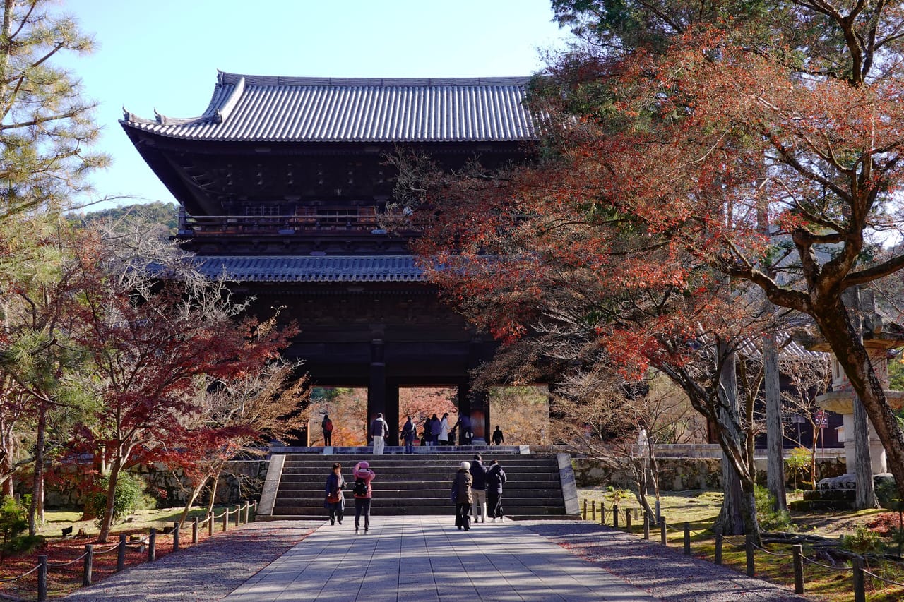 もみじの永観堂から哲学の道へ。東山の紅葉名所さんぽ