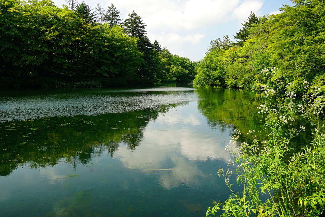 雲場池の水鏡と旧軽井沢。軽井沢の紅葉さんぽ