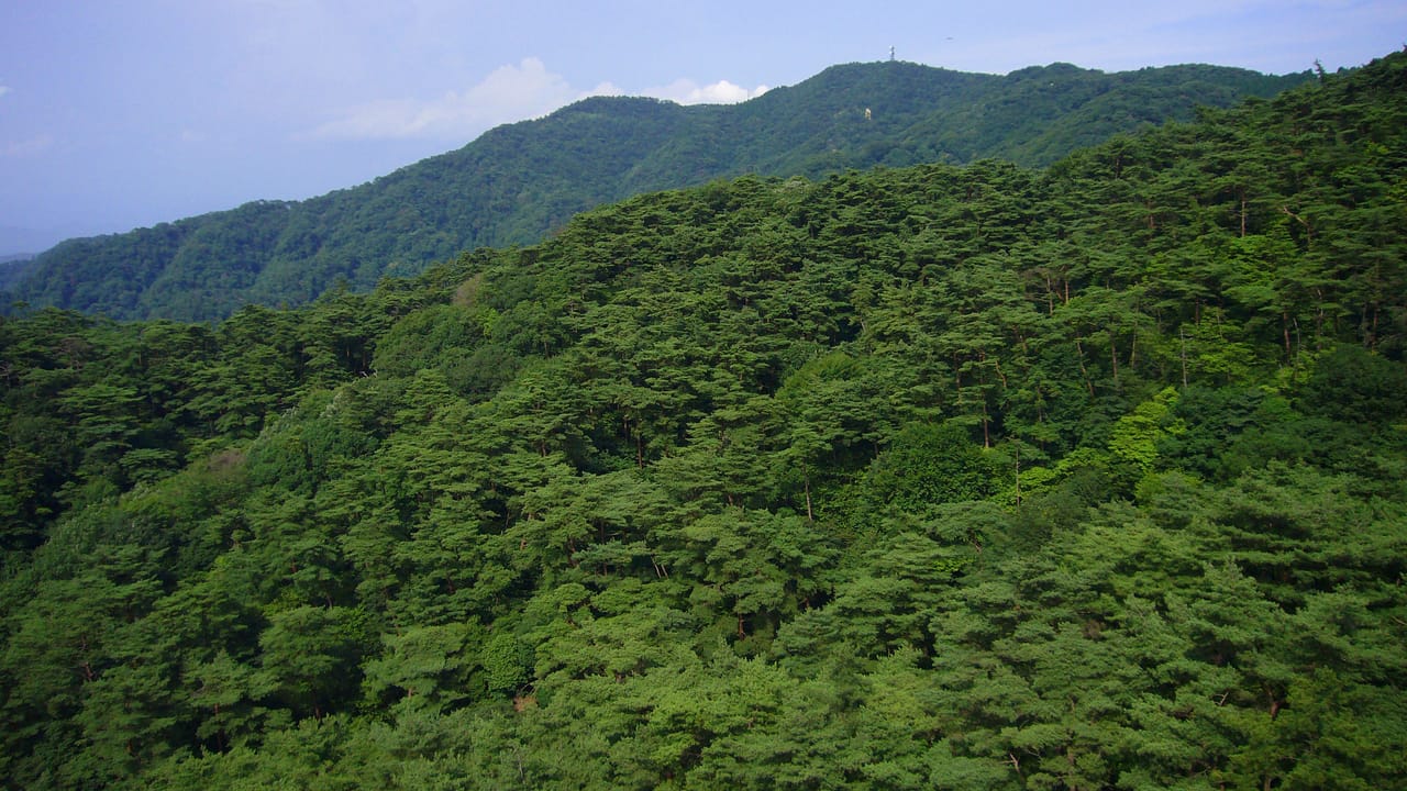 六甲山の夜景と有馬温泉、神戸の絶景と湯めぐり1泊2日