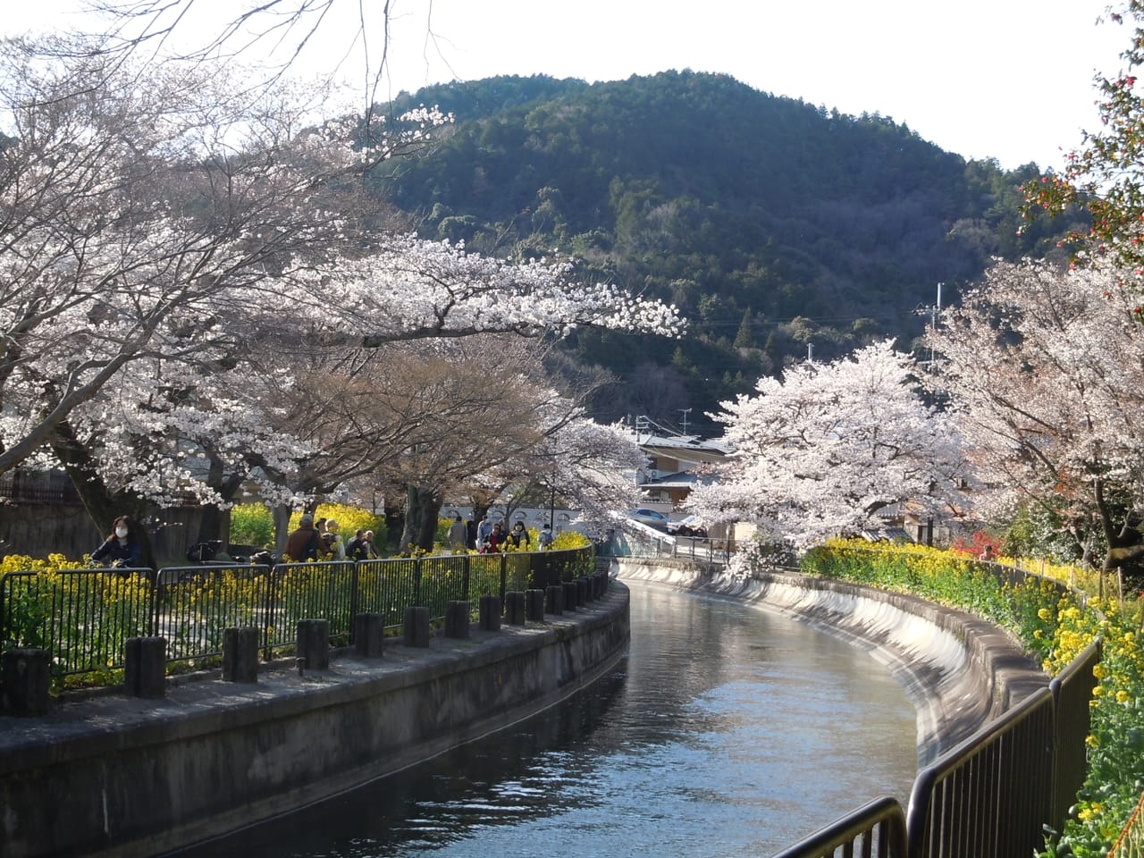 琵琶湖疏水とびわ湖大津館、湖畔の絶景さんぽ日帰りプラン