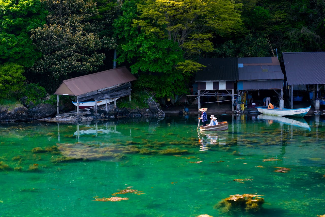 たらい舟体験とトキの森公園、佐渡の自然と文化を楽しむプラン