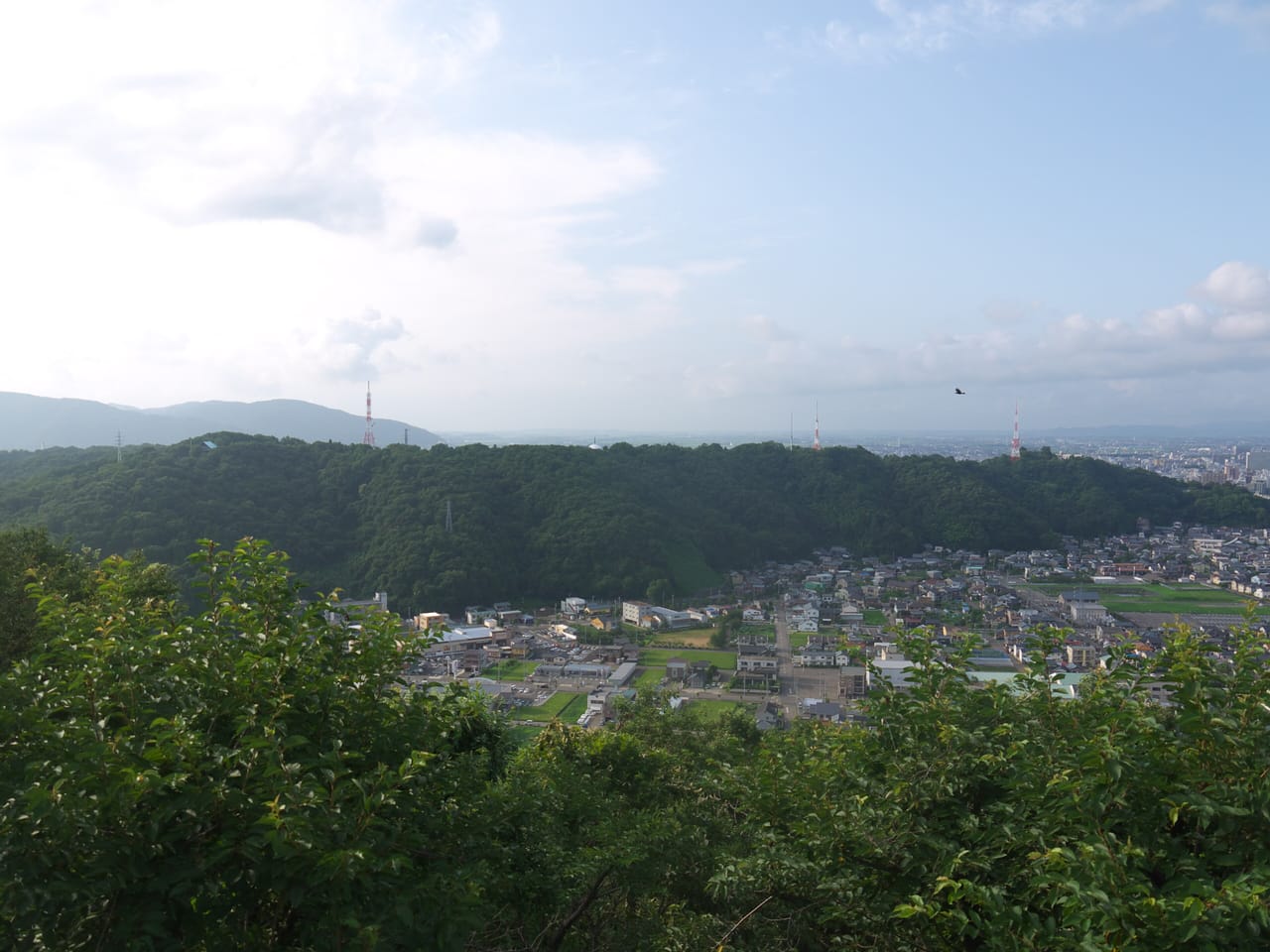 足羽山公園と足羽川桜並木、福井市民の憩いの自然を楽しむプラン