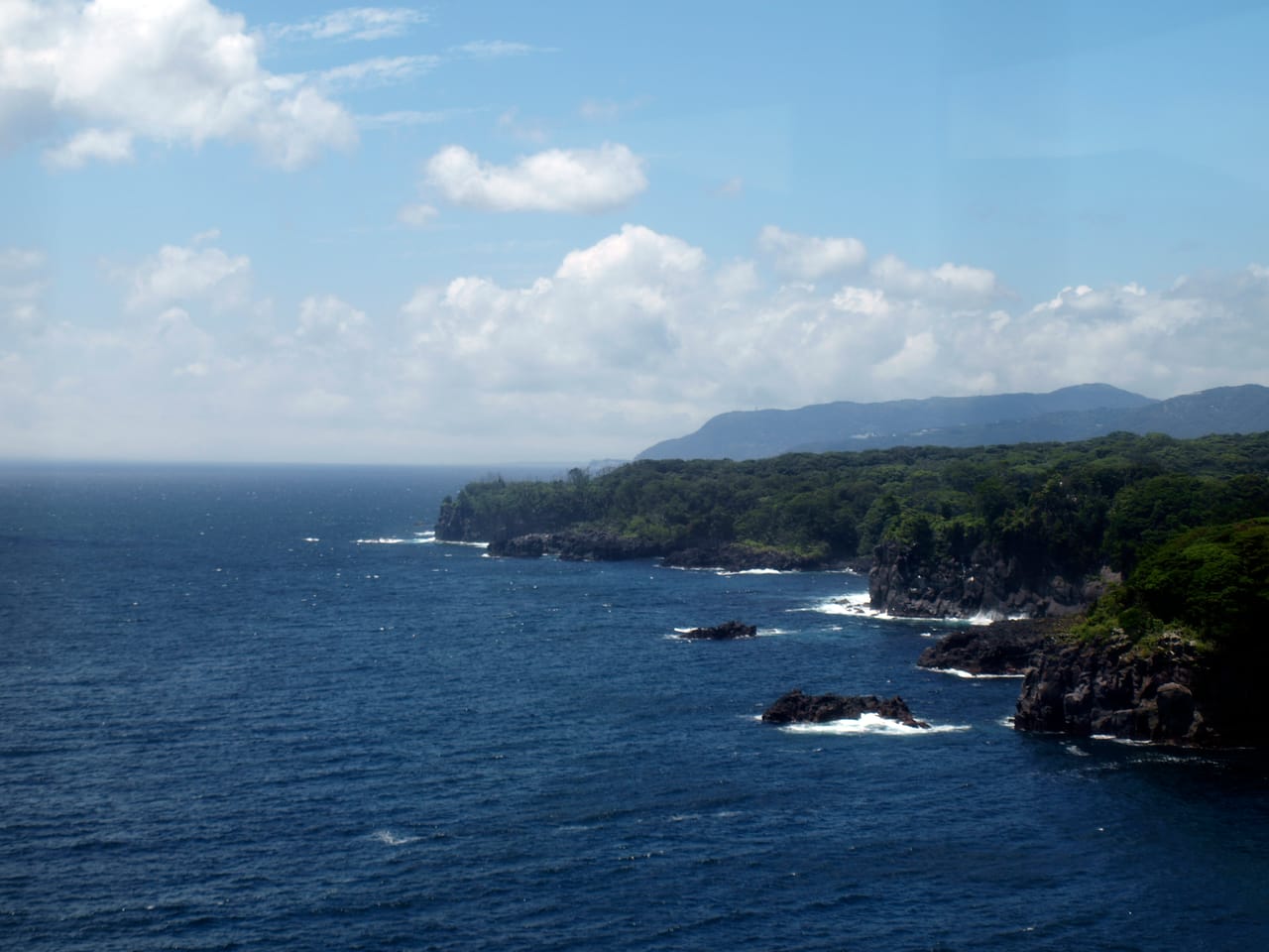 城ヶ崎海岸のつり橋スリル、伊豆の絶景断崖を楽しむ日帰りプラン