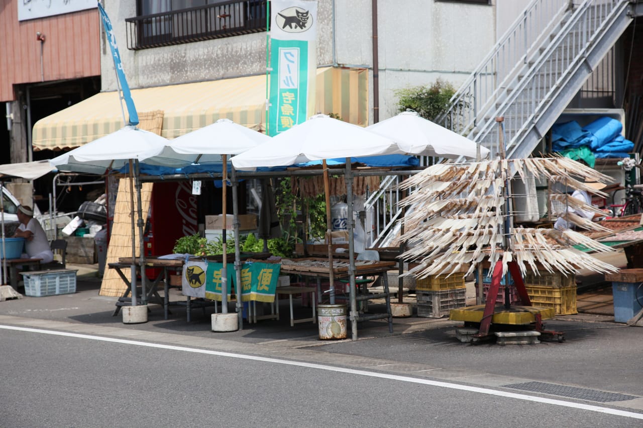 呼子朝市とイカ活き造り、玄界灘の海の幸を満喫する日帰りプラン