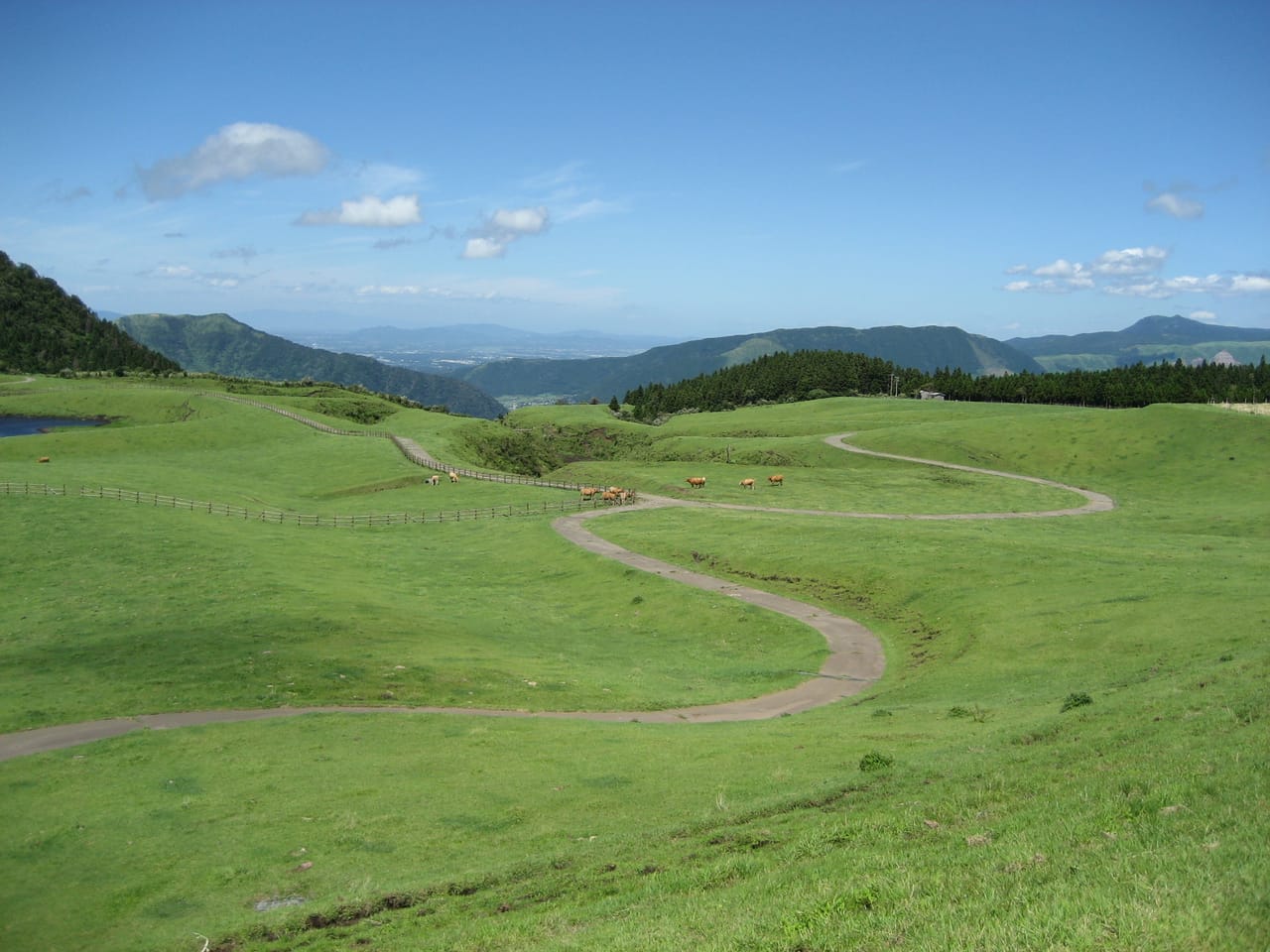 草千里ヶ浜と中岳火口、阿蘇の活火山を体感するプラン