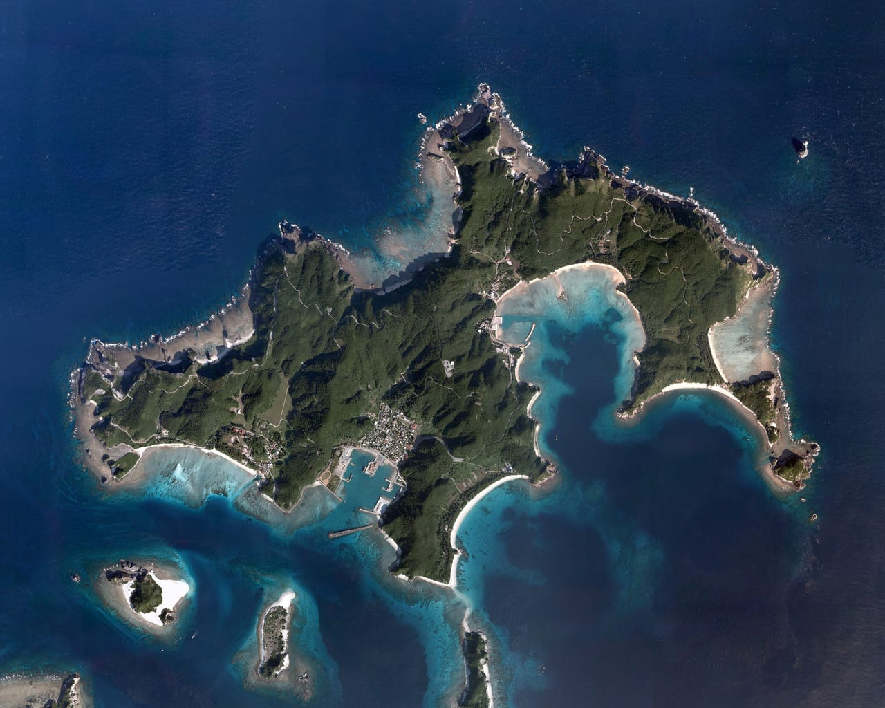 座間味島、古座間味ビーチとホエールウォッチングのプラン