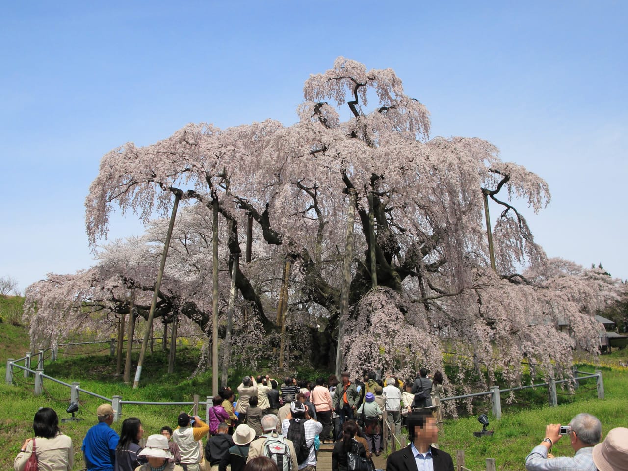 初めての京都！清水寺・祇園・錦市場を巡る鉄板プラン