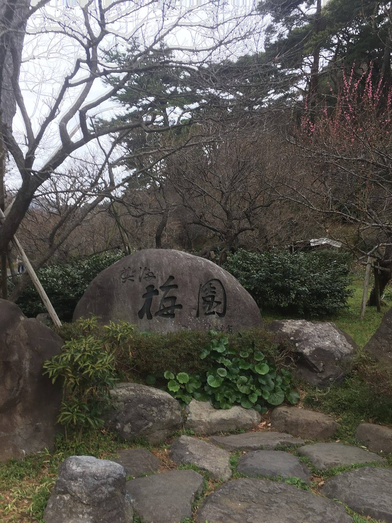 熱海梅園